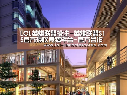 案例展示一(图1)