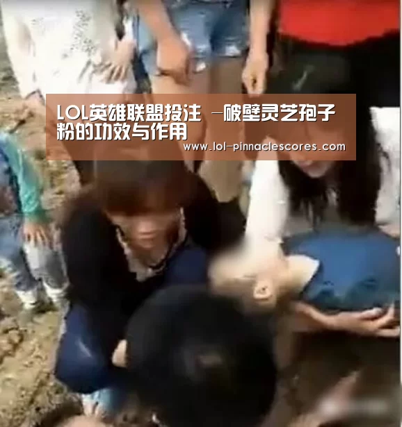 LOL英雄联盟投注 -破壁灵芝孢子粉的功效与作用(图2) LOL英雄联盟投注