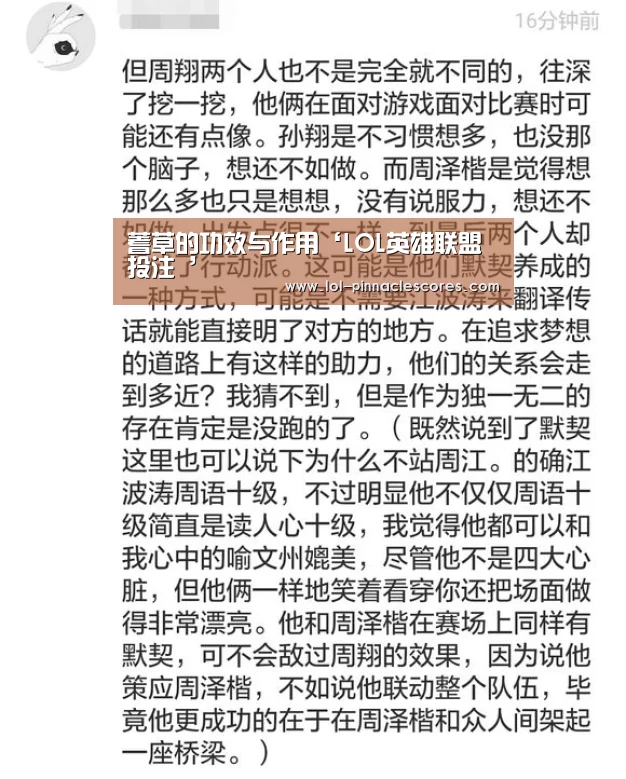 蓍草的功效与作用‘LOL英雄联盟投注 ’(图4) LOL英雄联盟投注