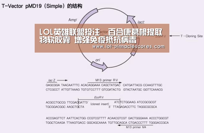 LOL英雄联盟投注 _百合康葛根提取物软胶囊 增强免疫抵抗病毒(图1) LOL英雄联盟投注