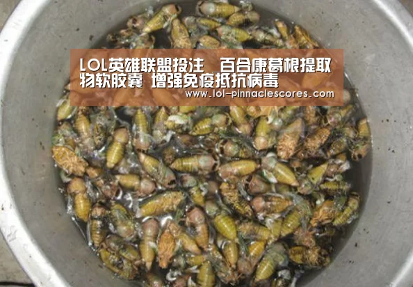 LOL英雄联盟投注 _百合康葛根提取物软胶囊 增强免疫抵抗病毒(图3) LOL英雄联盟投注