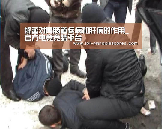 蜂蜜对胃肠道疾病和肝病的作用_ 官方电竞竞猜平台(图1) 官方电竞竞猜平台