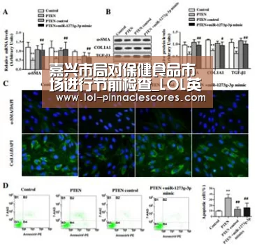 嘉兴市局对保健食品市场进行节前检查_LOL英雄联盟投注 (图1) LOL英雄联盟投注