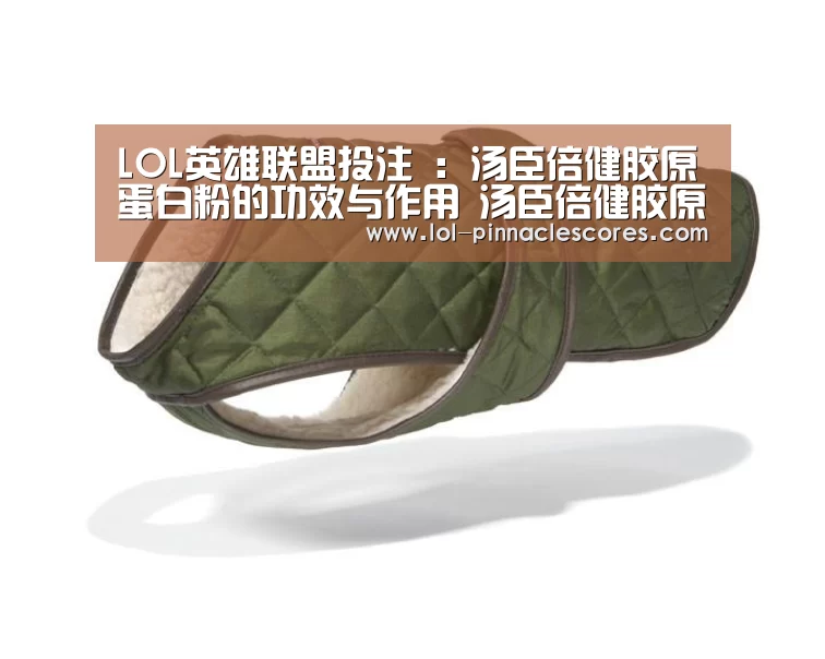LOL英雄联盟投注 